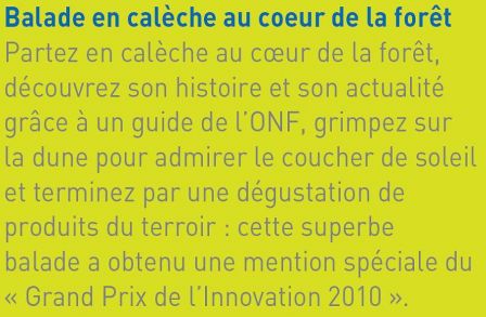 Balade en calèche